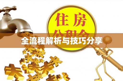 三原全流程解析与技巧分享